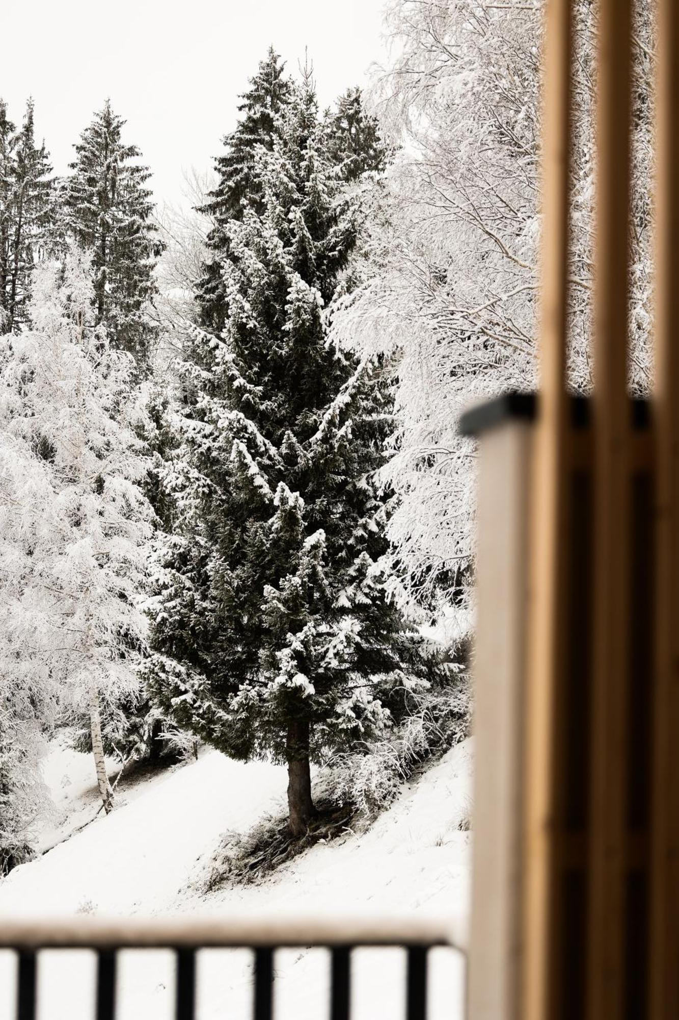 Gut Berg Naturhotel Sankt Johann im Pongau Rum bild